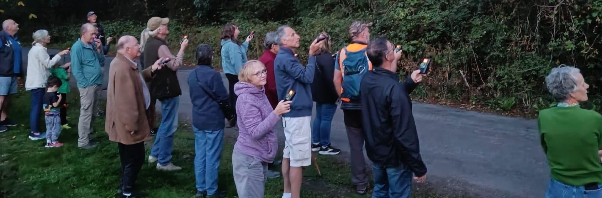 Group of people looking up for bats